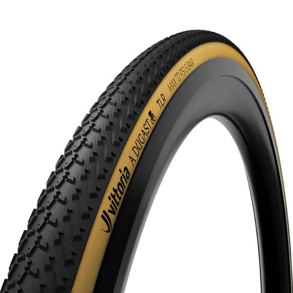 A Dugast Small Bird Tubeless-Ready