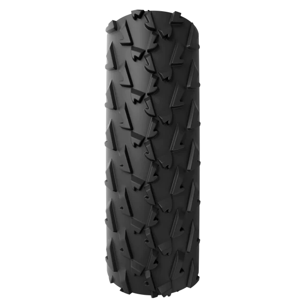 A Dugast Small Bird Tubular 33mm