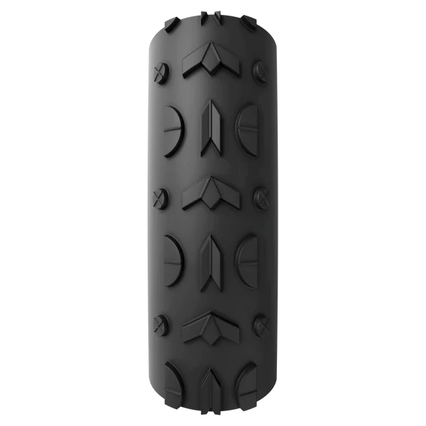 Vittoria Dugast Typhoon Tubular 33mm